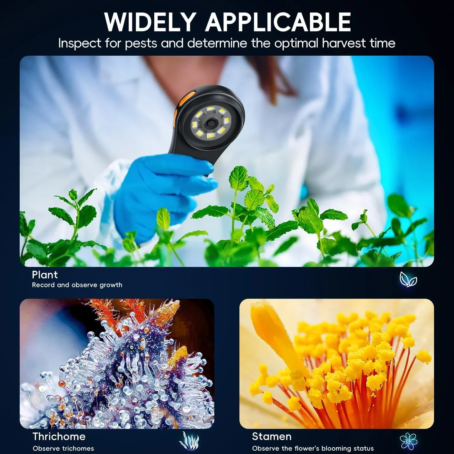 Pocket Microscope 500X - Klein & Krachtig - Hand Vergrootglas