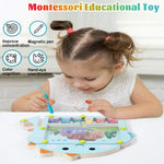 Bead Puzzle™ – Doolhofplezier Sorteren – Houten Magnetische Ballen Puzzel