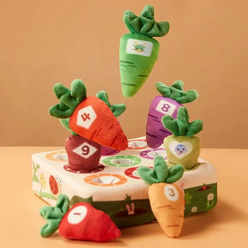 Sensory Carrots – Voelen & Plukken – Zintuiglijk Speelgoed